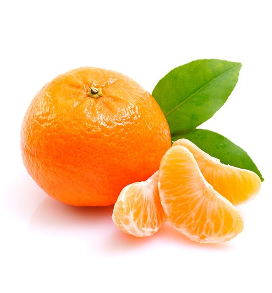 Mandarina Avocitrus